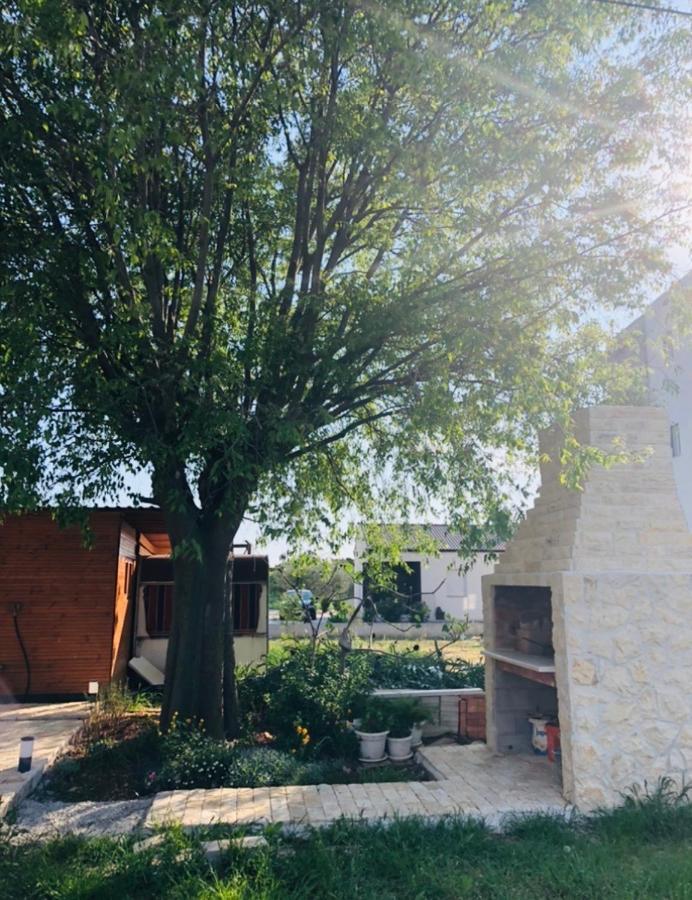 Apartmani Veronika Sukošan Εξωτερικό φωτογραφία